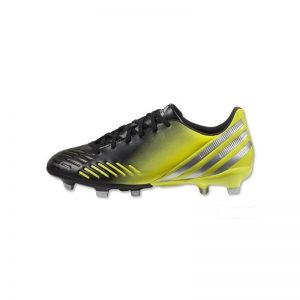 Duis aute irure dolor